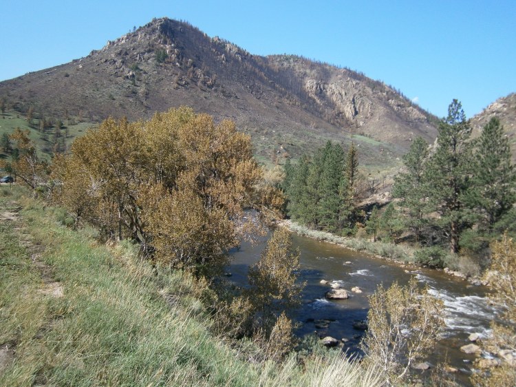 This image has an empty alt attribute; its file name is p8050012.jpg