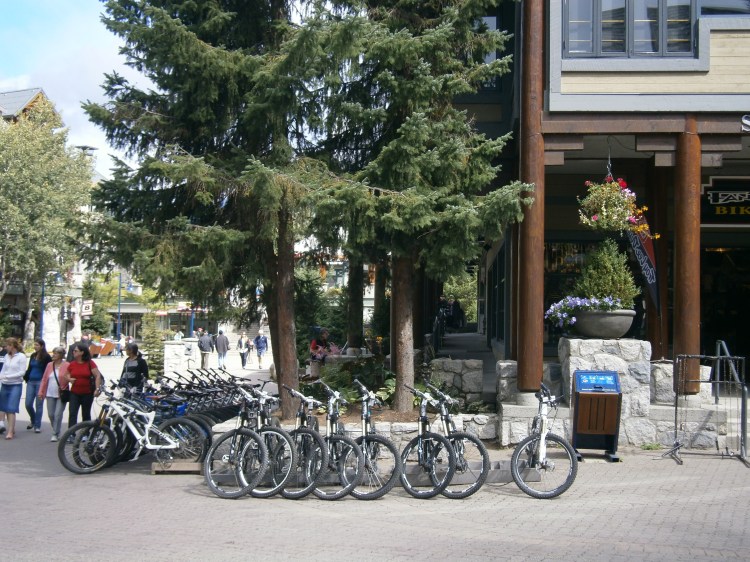 This image has an empty alt attribute; its file name is p8290107.jpg